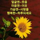 강호동·유재석도 '탈락'했는데..'전국 노래자랑' 故 송해 후임은 김신영 이미지