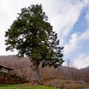 진안사람이야기 이미지