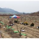 상왕농장 이미지