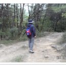 삼진여인숙 Daum카페