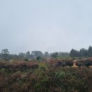 헤브론힐 리조트 이미지