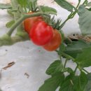 (주)휴팜 이미지