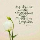 (주)버킷포스트 네이버블로그