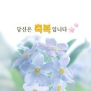 사용하고 계신 분 있을까요? 이미지