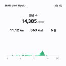 먹통된카톡을복구하고오후에는만보인증 14,305보11.12km 오늘까지509,684보 391.85km 이미지