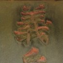 충청남도 금산군 남이면행정복지센터 네이버블로그