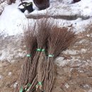 시골마당 이미지