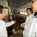 사안농장 이미지