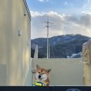 udogpia 유독피아 이미지