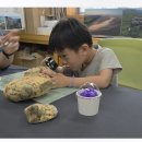 아이와 함께하는 생태 여행, 전북 고창 운곡람사르습지 탐방열차와 감동적인 지질 체험 프로그램 후기