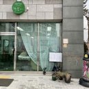 탁본헤어