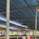 한중농장 이미지