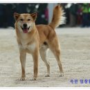 바우 - 마포구 와우산로29라길 7 | 바우