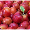 스마트보조기 이미지