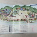 [충남 보령 개화예술공원] 볼거리 가득한 개화예술공원 내 돈 내산 방문 후기