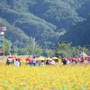 청송화원