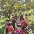 비룡농장 이미지