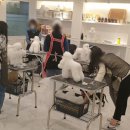 (주)한국반려동물아카데미 이미지