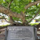 벌말 경로당 이미지