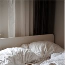 침대;새로이