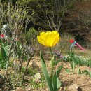 다산농원 이미지