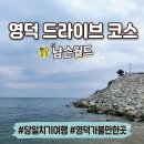 나무ENG | [경북/영덕] 당일치기 드라이브 코스ㅣ바다·전시관·맛집까지 알찬 여행