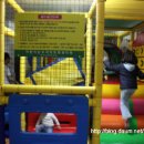 우아한 모험 발레 이미지