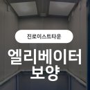 씨유 진로이스트타운점 | [대구 동구 효목동 진로이스타운 / 13인승 엘리베이터 보양 시공 후기]