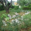 인천백석초등학교 이미지