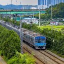 G4313 이미지