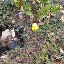 더강릉포레 이미지