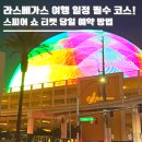 도로시민박 | 라스베가스 여행 일정 필수 코스! 스피어 쇼 공연 티켓 당일 예약 방법과 가격 명당 좌석 추천