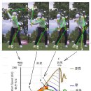 프로 골퍼의 상세 움직임 이미지