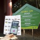 탑동 관광안내소 이미지