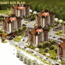 풀베르데 이미지