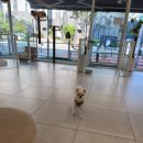 해랑동물병원 이미지