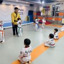 용인대필승태권도 이미지