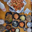 생명의 소리 | [Nomad in Jeju_Day 7] 눈 쌓인 삼나무 숲, 그 생명의 소리