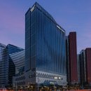 스테이담 이미지