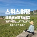 라보키 | 스위스 여행, 레만호 라보지구 5월 포도밭 트레킹 추천코스 및 후기