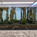 동성카프라자 이미지