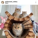 라운드브리(roundbri) 이미지