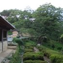 상옥농장2 이미지