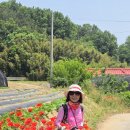 성당초등학교 이미지