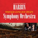 서울심포니 오케스트라 공연 이미지