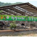 아래농장 이미지