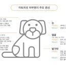 경기동물메디컬센터 이미지