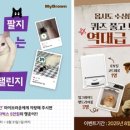 마이브라운