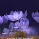 축복의집 이미지