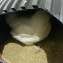 호현농장 이미지